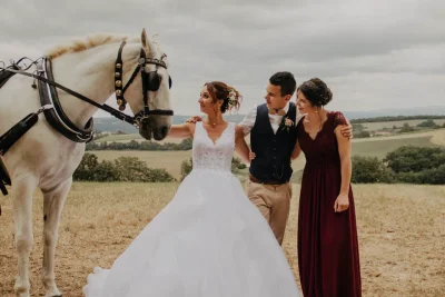 Les Attelages Du Sud Ouest - Photo 2