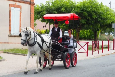 Les Attelages Du Sud Ouest - Photo 1