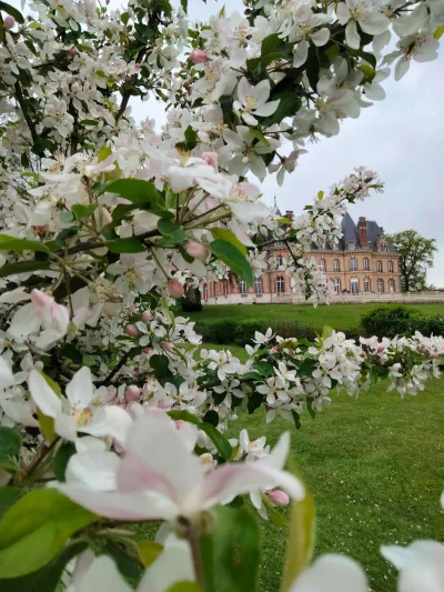 Château des Boulard à Chartres - Photo 2