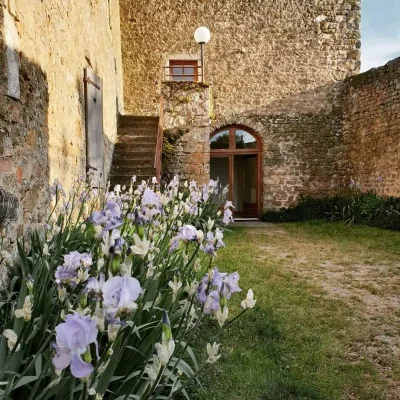 Grande Maison - Photo 1