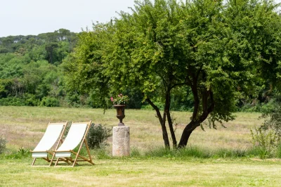 Domaine de la Carbonnelle - Photo 2