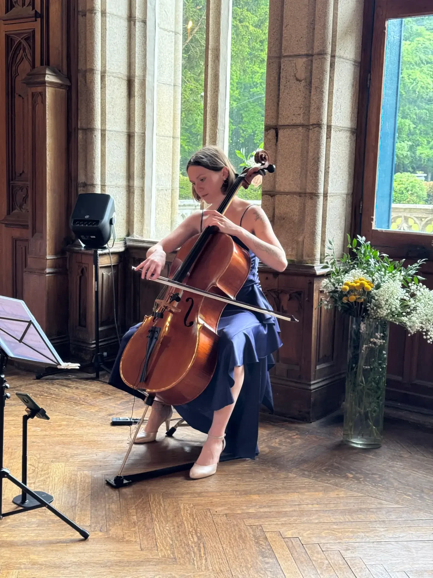CelloPhonies