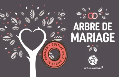 Arbre-Cadeau.fr - Photo 2