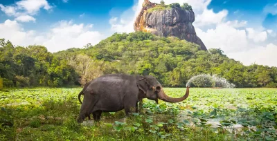 NOOCEA VOYAGES - Photo 3