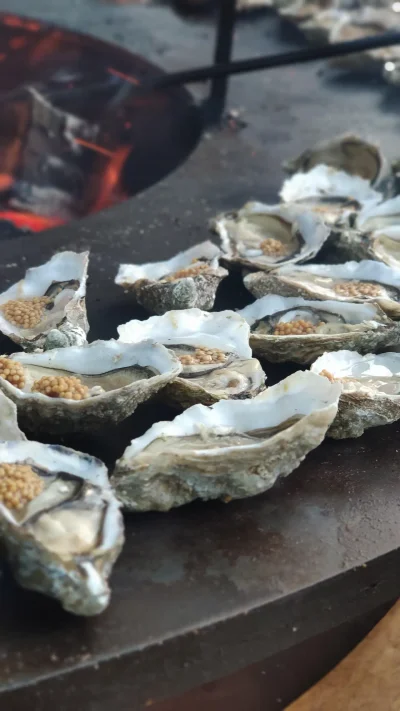 BREAD AND BRØ - Photo 1