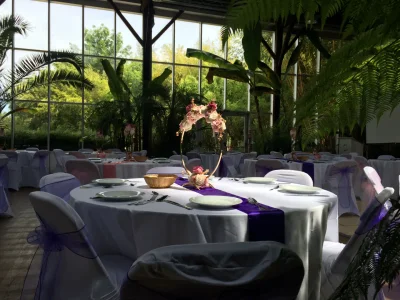 La Forêt des Arts - Photo 3