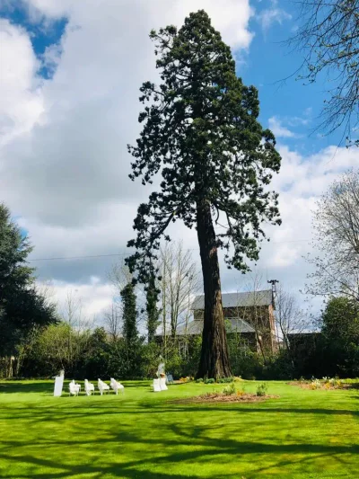 CEREMONIE LAIQUE - Photo 3