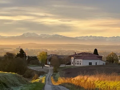 Domaine de Quintalone-Toulouse - Photo 1