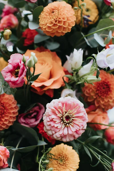 Marc Glen Photographie - Photo 3