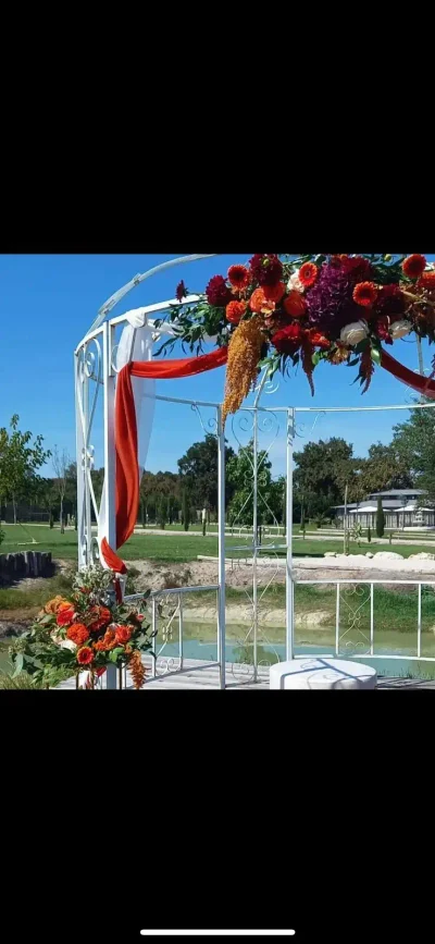 DOMAINE DE LA SAYE - Photo 3