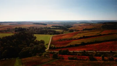 ZiProduction - Photo 2