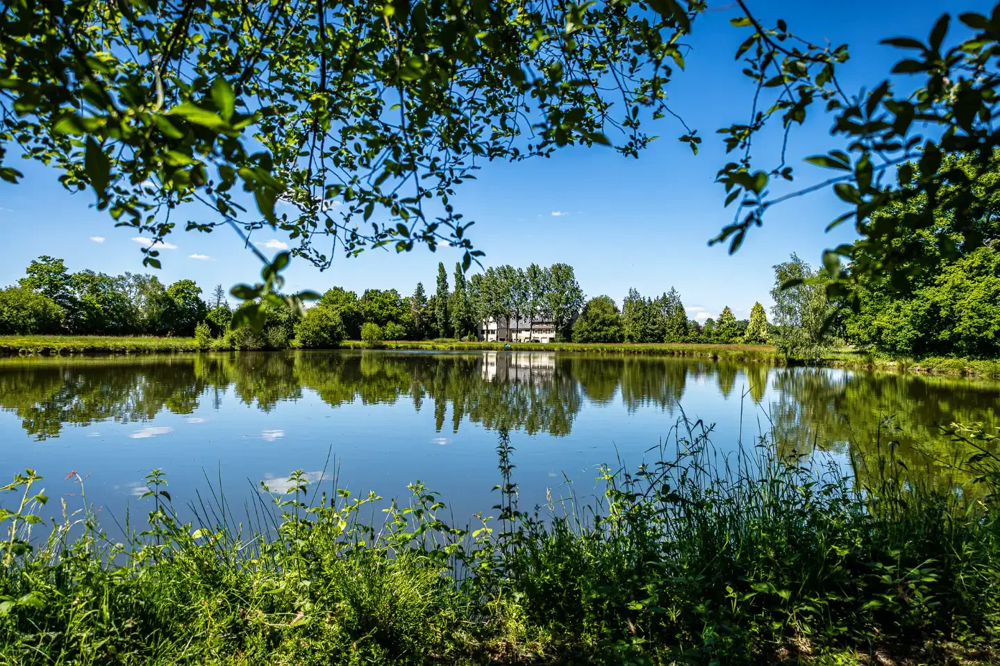 LE GRAND GITE DU LAC