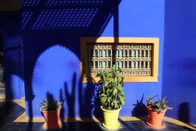 Le Monde d'Aurélia - Photo 3