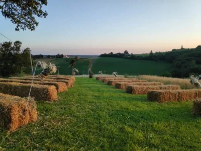 Mel & Co Evenement - Photo 2