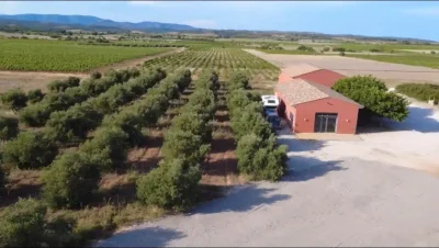Domaine Amouroux - Photo 3