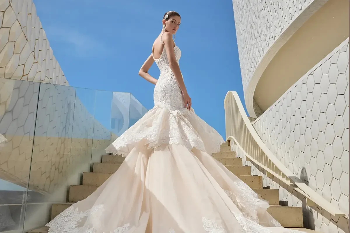 Les top tendances 2025/2026 pour les robes de mariée et comment tout à commencé!